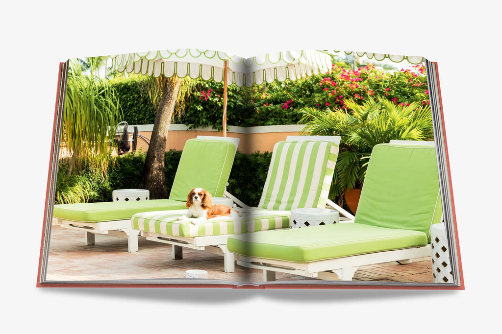 Livre Palm Beach