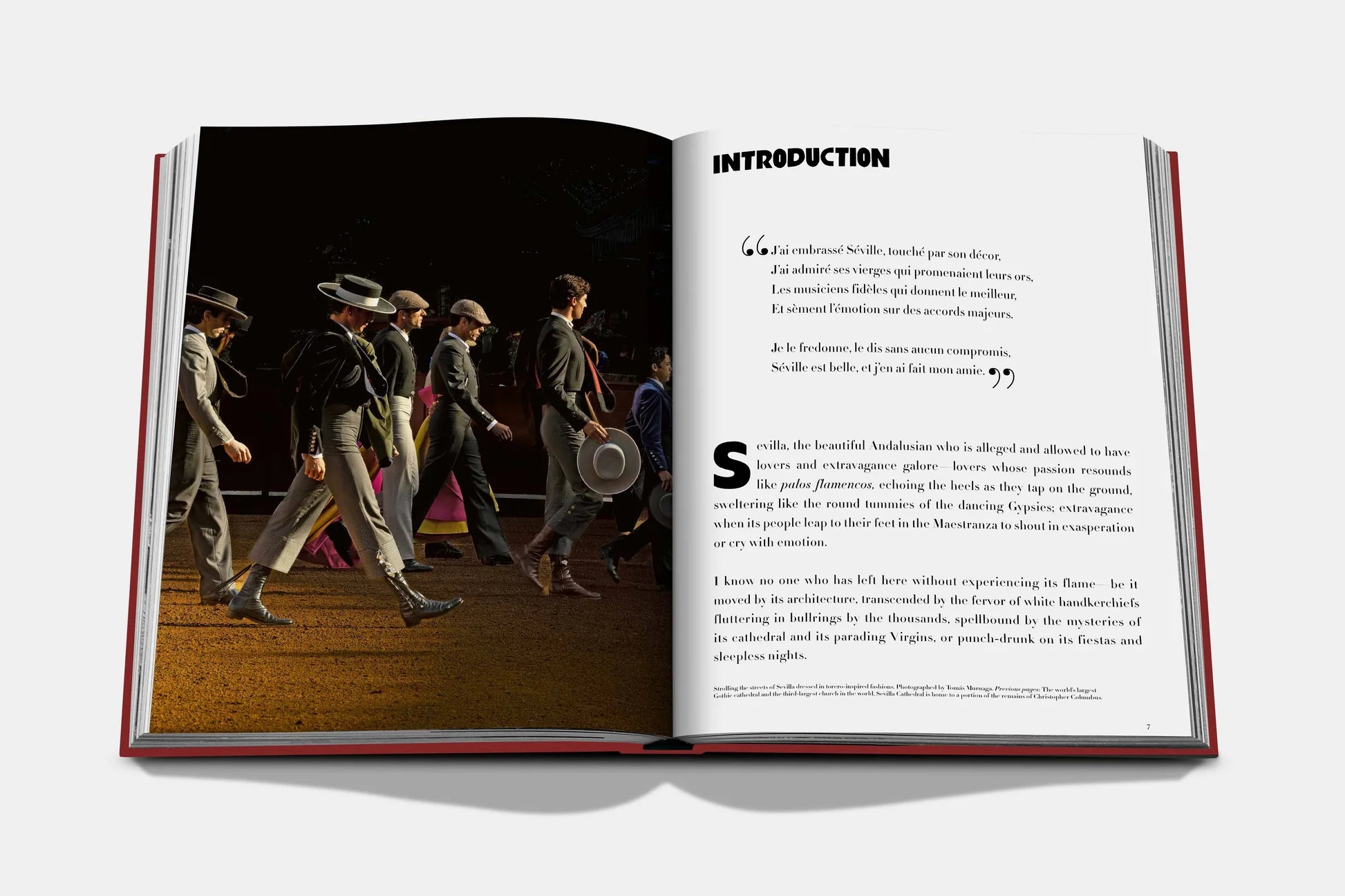 Livre Sevilla Arte