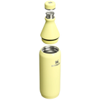 THE ALL DAY 0.6L POMELO GLOSS