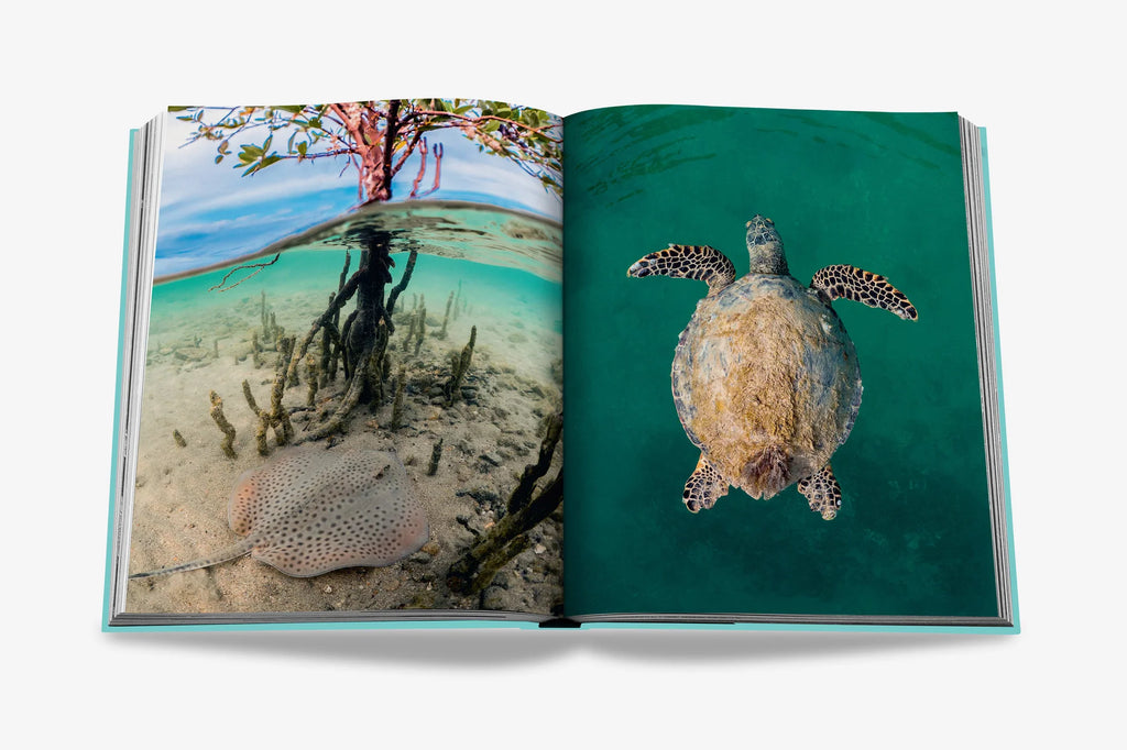 Livre Red Sea Saudi Arabia