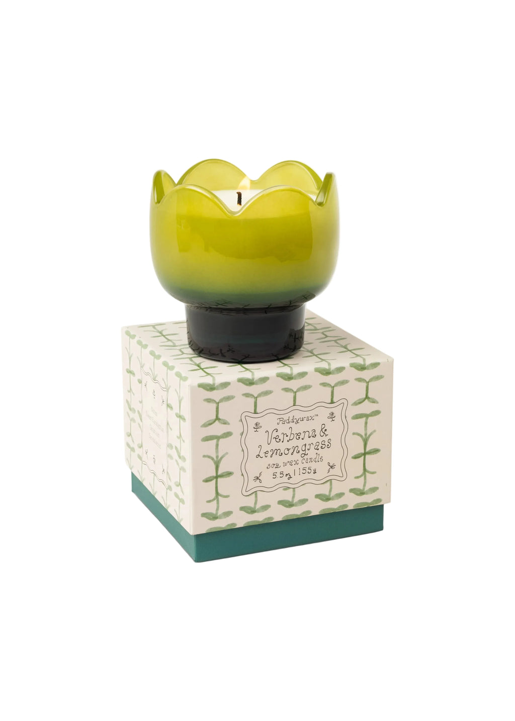 TULIP GREEN AND DARK CANDLE VERBENA