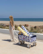 Chariot Pliant Plage