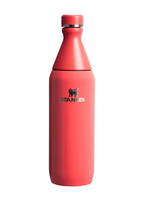 THE ALL DAY 0.6L HOT CORAL GLOSS