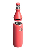 THE ALL DAY 0.6L HOT CORAL GLOSS